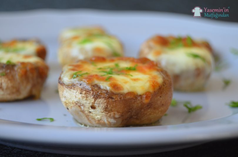 firinda-kasarli-mantar